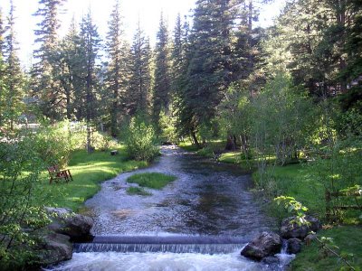 The river helps keep the area cool