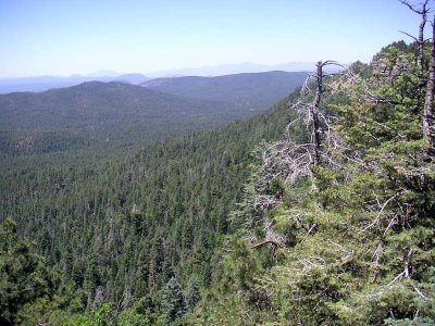 Another stretch stop at the Mogollon Rim Vista
