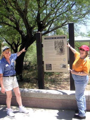 Judy and Pamela have spotted the bear in this tree