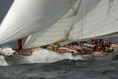 Fife Regatta 2008