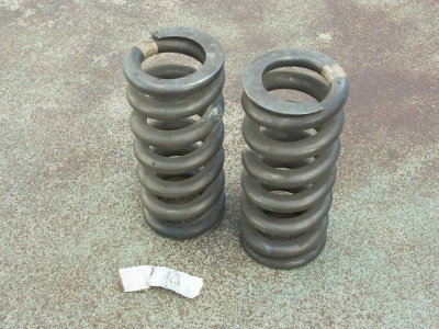 Titanium Progressive Springs - Photo 1