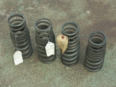 Titanium Progressive Springs - Photo 9