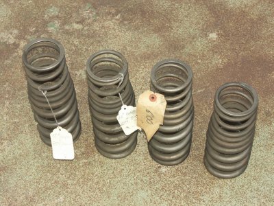 Titanium Progressive Springs - Photo 10