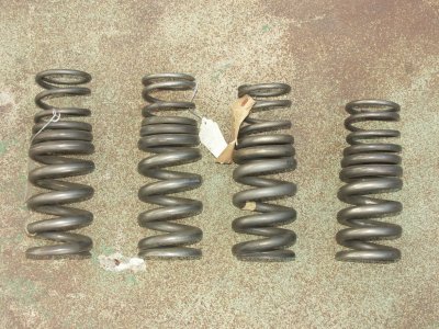 Titanium Progressive Springs - Photo 12