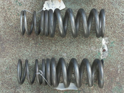 Titanium Progressive Springs - Photo 13