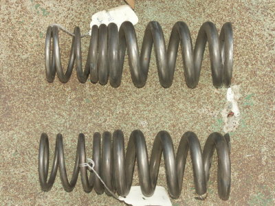Titanium Progressive Springs - Photo 14