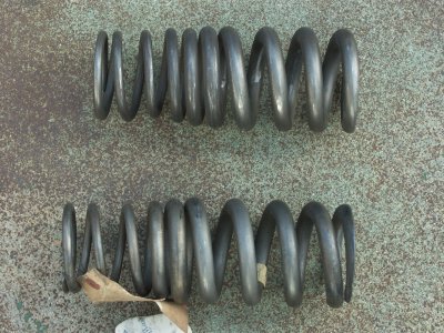 Titanium Progressive Springs - Photo 15