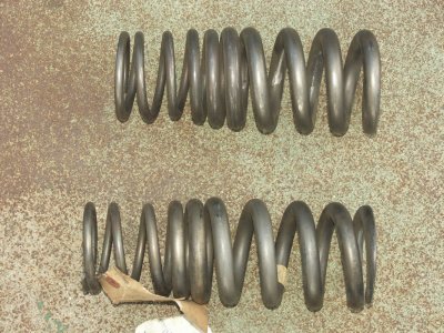 Titanium Progressive Springs - Photo 16