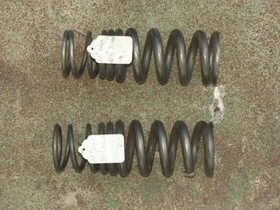 Titanium Progressive Springs - Photo 25