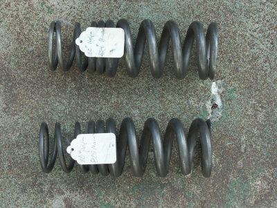 Titanium Progressive Springs - Photo 26