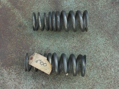 Titanium Progressive Springs - Photo 27
