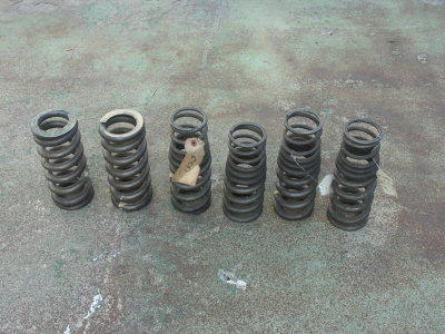 Titanium Progressive Springs - Photo 28
