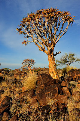 Africa_2009_1428.jpg