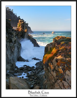 Point Lobos _California.jpg