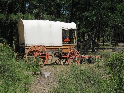 Wagon Train 2009_-17.jpg