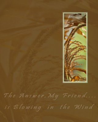 BLOWING IN THE WIND.jpg