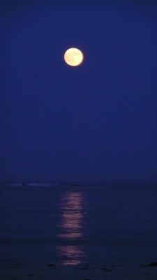 full moon on the beach.