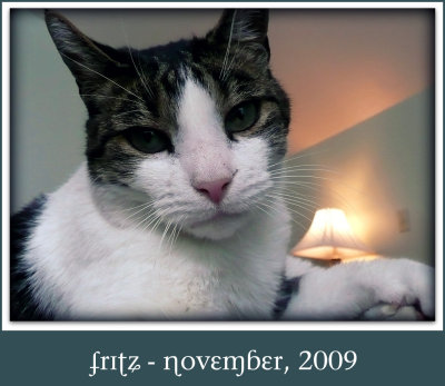 the fritzmeister