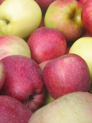 apples