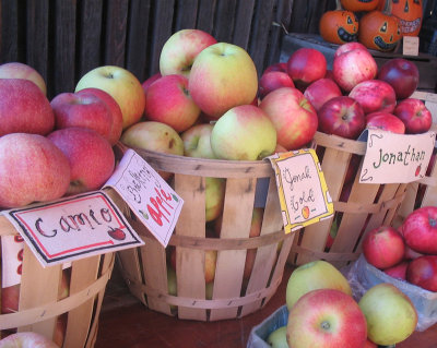 apples at pennsylvania  farmstand