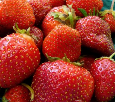 strawberries 2