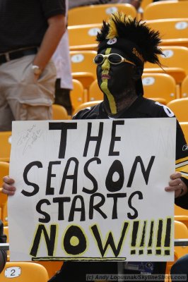 Pittsburgh Steelers fan