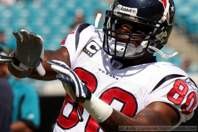 Houston Texans WR Andre Johnson