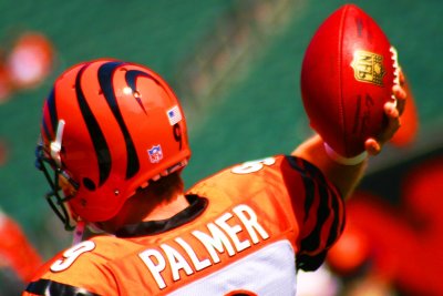 NFL Cincinnati Bengals QB Carson Palmer