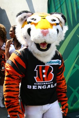 Cincinnati Bengals mascot Who-Dey