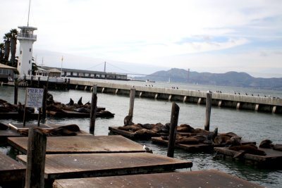 Pier 39 with the Golen Gate Bridge in the background