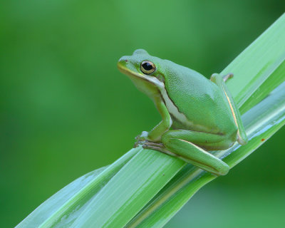 Sitting Pretty