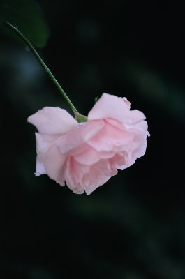 g5/53/770853/3/99705456.6A1jpE3K.jpg