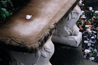 g5/53/770853/3/99705458.WVeaJMAn.jpg