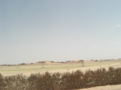 g5/53/811353/3/100041014.QKc292Jb.jpg