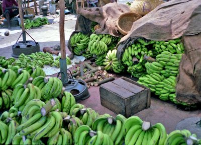 Bananas for Market