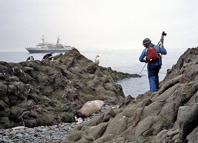  Warren Photographing Chin Strap Penguins at Artowsky