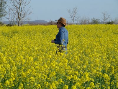 W. photographing Wild Mustard Field - W. VA.