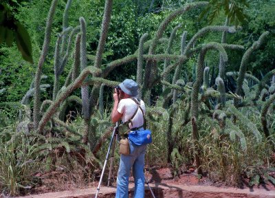 Warren Shoots Spiney Forest of Madagascar
