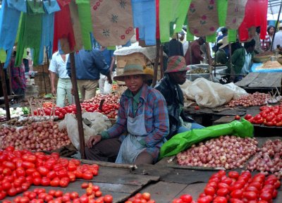 Tomatoes at Market