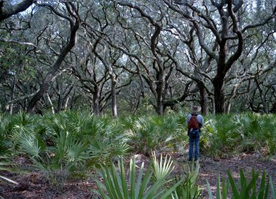 Warren in Cumberland Island