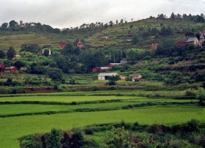 Homes on the Hillside