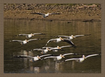group skim over water_MG_4834 copy.jpg