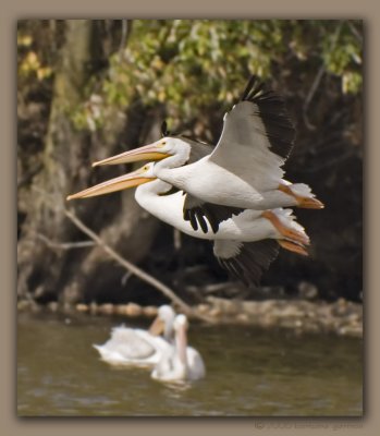 landing duo_MG_9960 copy.jpg