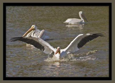 landing_MG_4842 copy.jpg