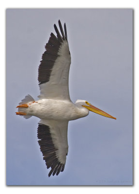 right siide soar_MG_9598 copy.jpg