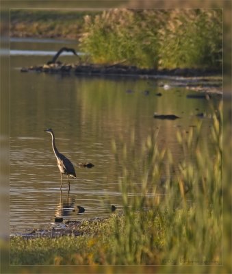 sun setting on lagoons_MG_1722.jpg