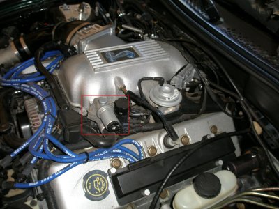 P9250004circled.JPG