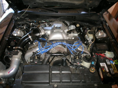 P9250005.JPG