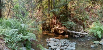 Little River Van Damme State Park Mendocino CA pano.jpg