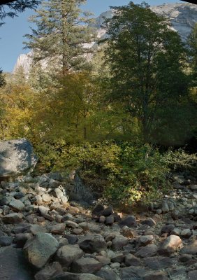 Yosemite dry creek fall color (11 picture vertical mosaic).jpg